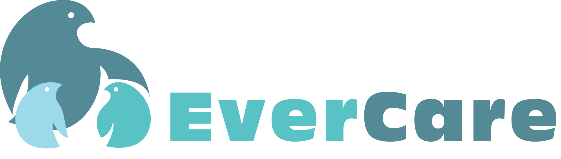 Evercare.ru — информационно-аналитический образовательный проект